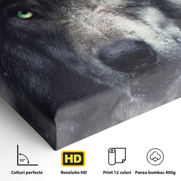 Leinwandbilder Premium, LuxCanva® M1461, Smaragdgrüner Blick, Augen, Intensiv, Mystisch, Tier, Geist, Geist, Nebel, Wolf, Magie, Rätsel, Abgrund, Nächtlich, Grün, Büro, Wohnen, Kinderzimmer