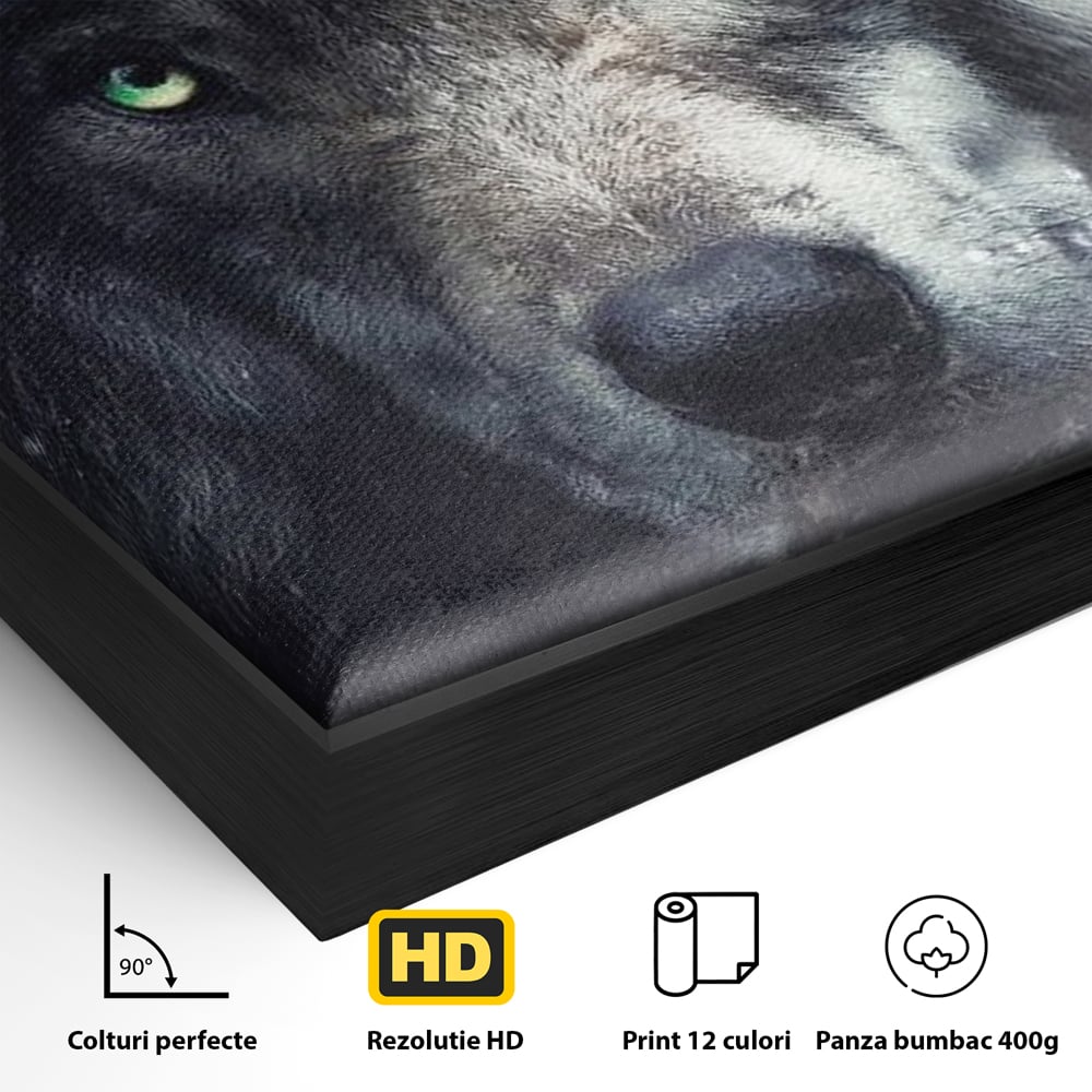 Leinwandbilder Premium, LuxCanva® M1461, Smaragdgrüner Blick, Augen, Intensiv, Mystisch, Tier, Geist, Geist, Nebel, Wolf, Magie, Rätsel, Abgrund, Nächtlich, Grün, Büro, Wohnen, Kinderzimmer