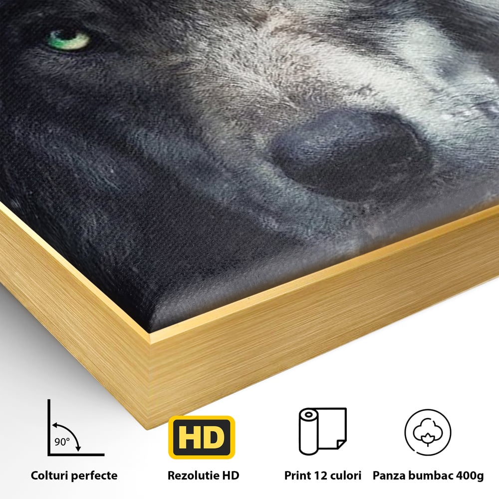 Leinwandbilder Premium, LuxCanva® M1461, Smaragdgrüner Blick, Augen, Intensiv, Mystisch, Tier, Geist, Geist, Nebel, Wolf, Magie, Rätsel, Abgrund, Nächtlich, Grün, Büro, Wohnen, Kinderzimmer