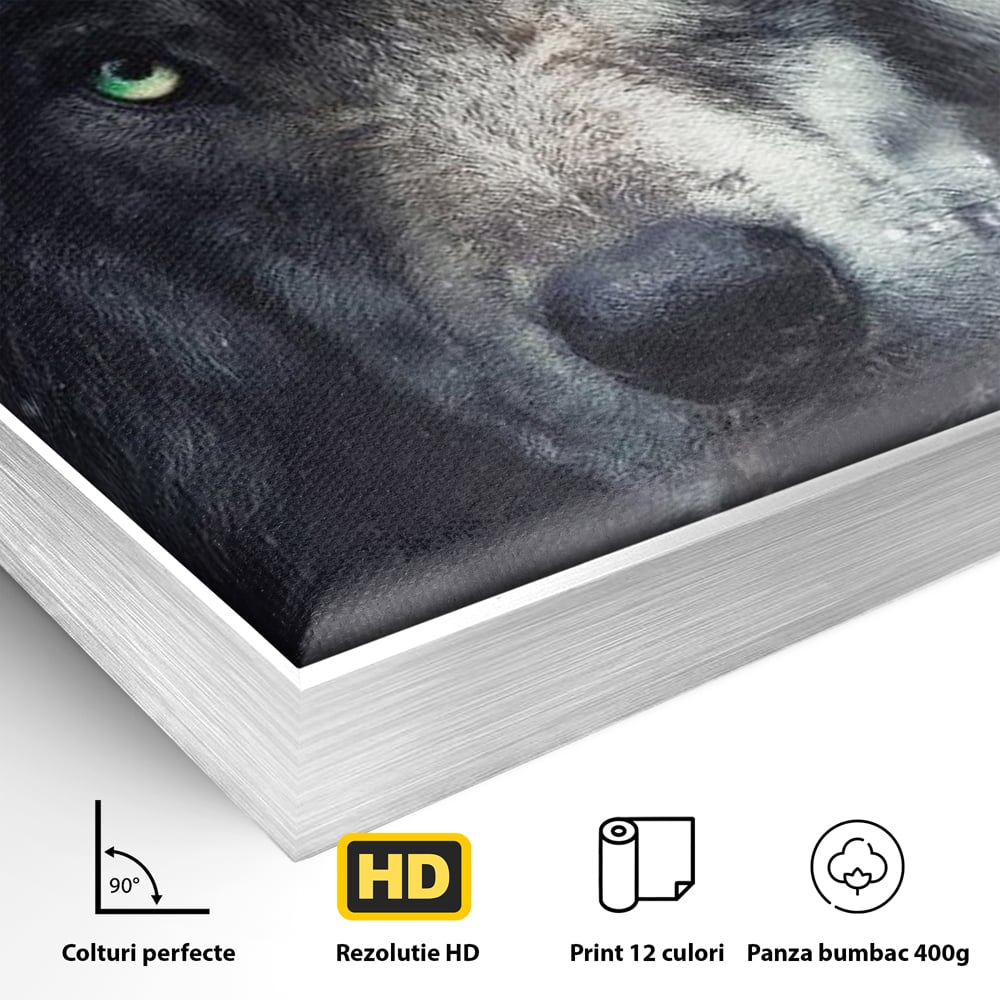 Leinwandbilder Premium, LuxCanva® M1461, Smaragdgrüner Blick, Augen, Intensiv, Mystisch, Tier, Geist, Geist, Nebel, Wolf, Magie, Rätsel, Abgrund, Nächtlich, Grün, Büro, Wohnen, Kinderzimmer
