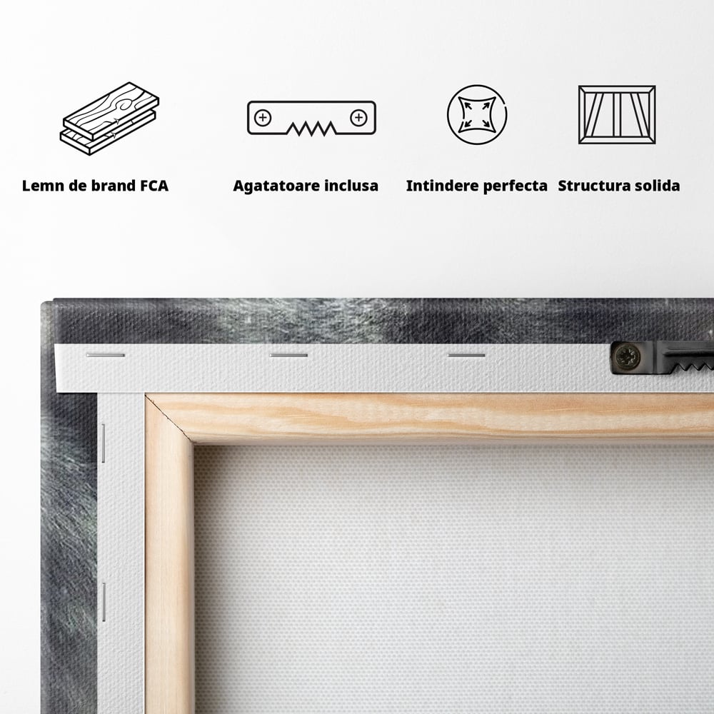 Leinwandbilder Premium, LuxCanva® M1461, Smaragdgrüner Blick, Augen, Intensiv, Mystisch, Tier, Geist, Geist, Nebel, Wolf, Magie, Rätsel, Abgrund, Nächtlich, Grün, Büro, Wohnen, Kinderzimmer