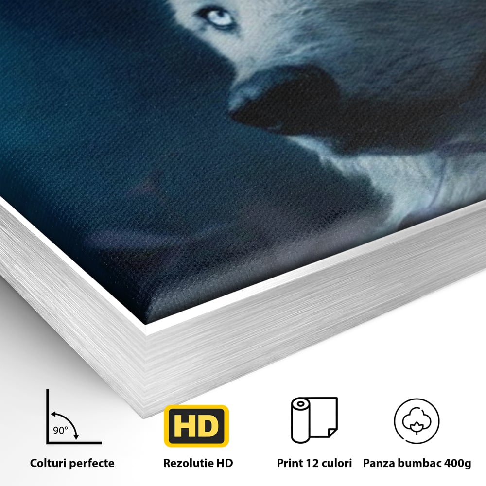 Leinwand Wandkunst Canvas Premium, LuxCanva® M1462, Unter dem Mond, Vollmond, Tier, Wolf, Wild, Natur, Nacht, Nacht, Stille, Rufen, Rufen, Blätter, Licht, Büro, Wohnen, Kinderzimmer
