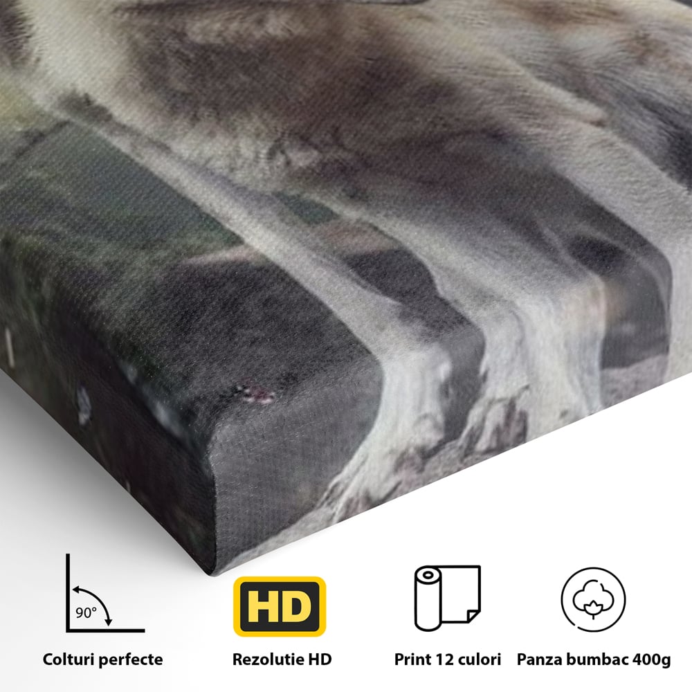 Leinwand Wandkunst Canvas Wall Art Premium, LuxCanva® M1466, Bruderschaft der Wölfe, Pfauen, Natur, Wald, Eiche, Wölfe, Brüder, Licht, Rudel, Wild, Wildtiere, Licht, Büro, Wohnen, Kinderzimmer