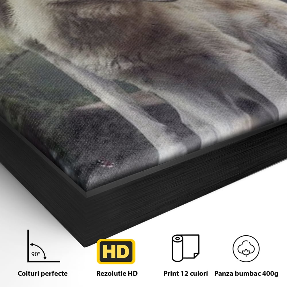 Leinwand Wandkunst Canvas Wall Art Premium, LuxCanva® M1466, Bruderschaft der Wölfe, Pfauen, Natur, Wald, Eiche, Wölfe, Brüder, Licht, Rudel, Wild, Wildtiere, Licht, Büro, Wohnen, Kinderzimmer