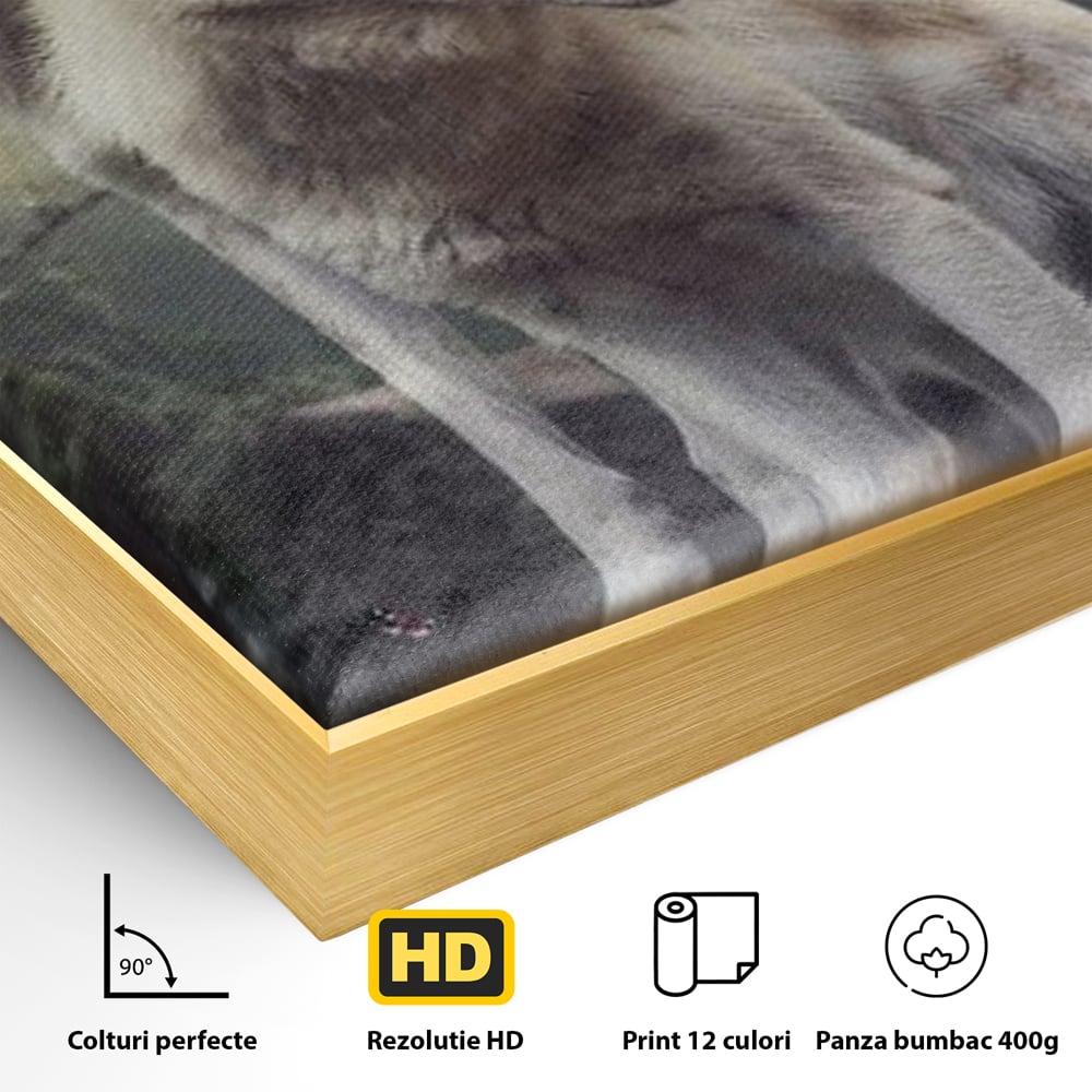 Leinwand Wandkunst Canvas Wall Art Premium, LuxCanva® M1466, Bruderschaft der Wölfe, Pfauen, Natur, Wald, Eiche, Wölfe, Brüder, Licht, Rudel, Wild, Wildtiere, Licht, Büro, Wohnen, Kinderzimmer