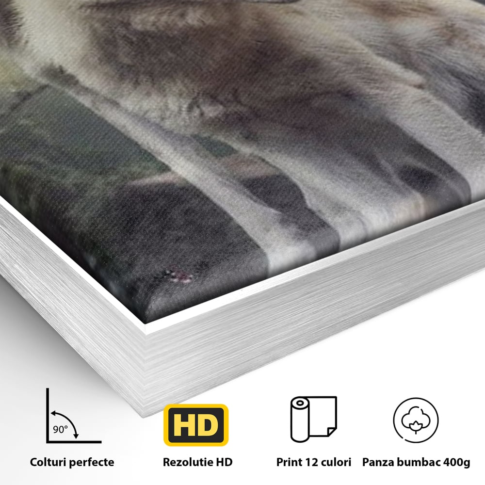 Leinwand Wandkunst Canvas Wall Art Premium, LuxCanva® M1466, Bruderschaft der Wölfe, Pfauen, Natur, Wald, Eiche, Wölfe, Brüder, Licht, Rudel, Wild, Wildtiere, Licht, Büro, Wohnen, Kinderzimmer
