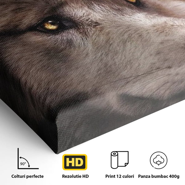 Leinwand Wandkunst Canvas Premium, LuxCanva® M1467, Unter dem Mond, Wolf, Tier, Wild, Vollmond, Blick, Nacht, einsam, geheimnisvoll, Berufung, Büro, Wohnen, Babyzimmer