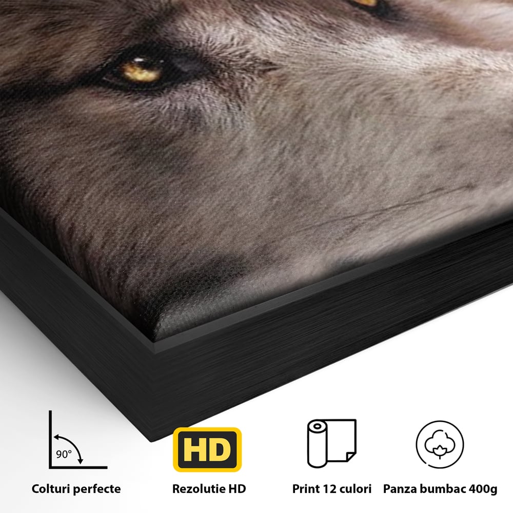 Leinwand Wandkunst Canvas Premium, LuxCanva® M1467, Unter dem Mond, Wolf, Tier, Wild, Vollmond, Blick, Nacht, einsam, geheimnisvoll, Berufung, Büro, Wohnen, Babyzimmer