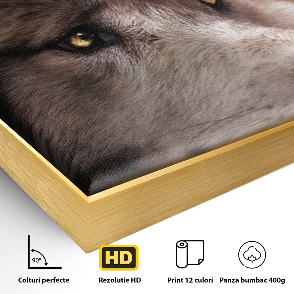 Leinwand Wandkunst Canvas Premium, LuxCanva® M1467, Unter dem Mond, Wolf, Tier, Wild, Vollmond, Blick, Nacht, einsam, geheimnisvoll, Berufung, Büro, Wohnen, Babyzimmer