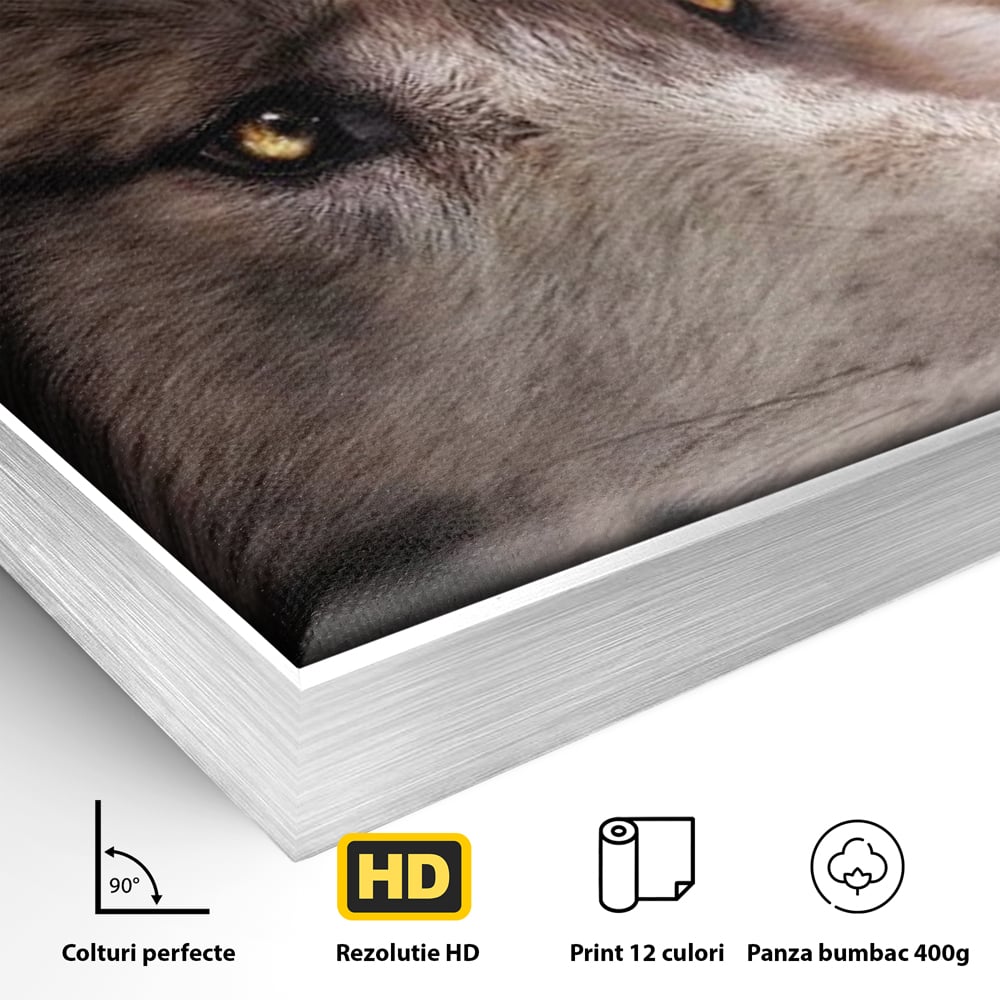 Leinwand Wandkunst Canvas Premium, LuxCanva® M1467, Unter dem Mond, Wolf, Tier, Wild, Vollmond, Blick, Nacht, einsam, geheimnisvoll, Berufung, Büro, Wohnen, Babyzimmer