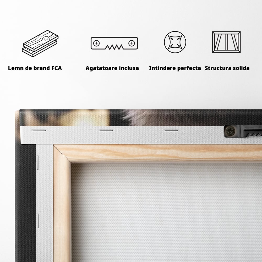 Leinwand Wandkunst Canvas Premium, LuxCanva® M1467, Unter dem Mond, Wolf, Tier, Wild, Vollmond, Blick, Nacht, einsam, geheimnisvoll, Berufung, Büro, Wohnen, Babyzimmer