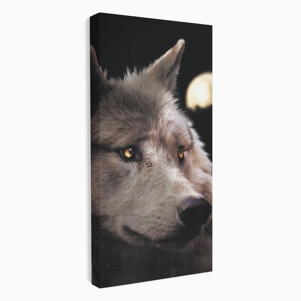 Leinwand Wandkunst Canvas Premium, LuxCanva® M1467, Unter dem Mond, Wolf, Tier, Wild, Vollmond, Blick, Nacht, einsam, geheimnisvoll, Berufung, Büro, Wohnen, Babyzimmer