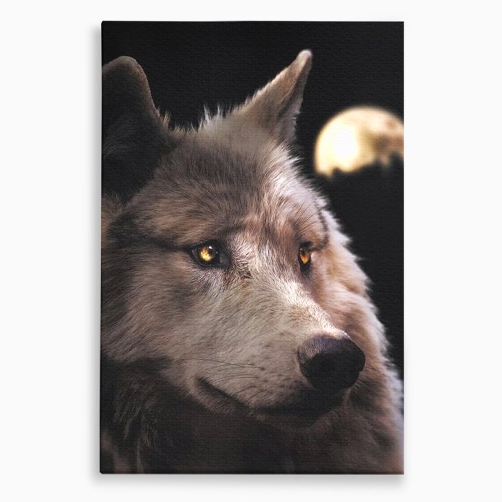 Leinwand Wandkunst Canvas Premium, LuxCanva® M1467, Unter dem Mond, Wolf, Tier, Wild, Vollmond, Blick, Nacht, einsam, geheimnisvoll, Berufung, Büro, Wohnen, Babyzimmer