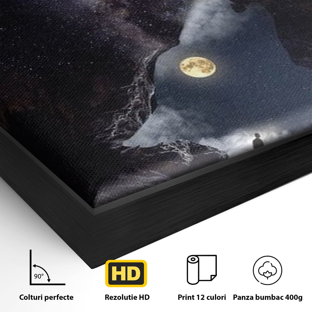 Tablou Canvas Premium, LuxCanva® M1468, Glasul Universului, Cosmos, Luna, Lup, Stele, Noapte, Vis, Mistic, Destin, Eternitate, Carare, Birou, Living, Camera Copil