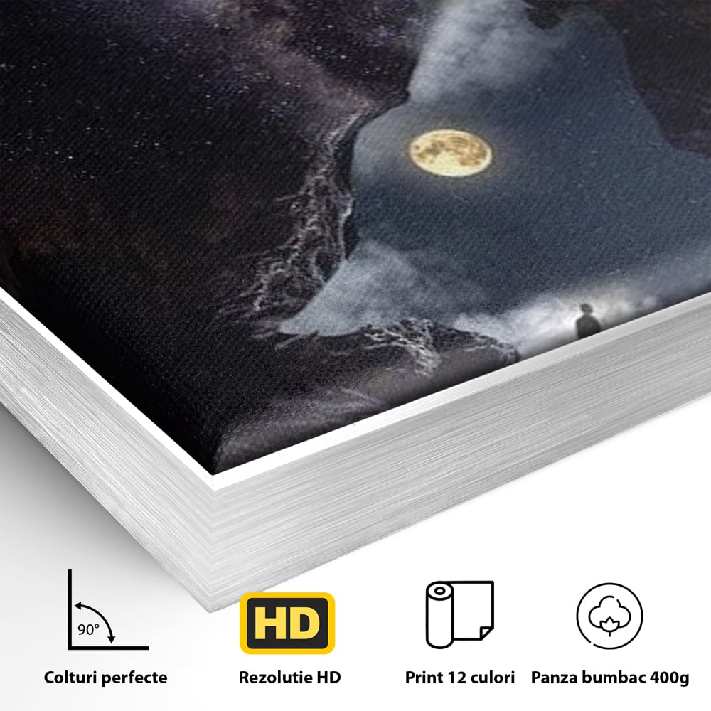 Tablou Canvas Premium, LuxCanva® M1468, Glasul Universului, Cosmos, Luna, Lup, Stele, Noapte, Vis, Mistic, Destin, Eternitate, Carare, Birou, Living, Camera Copil