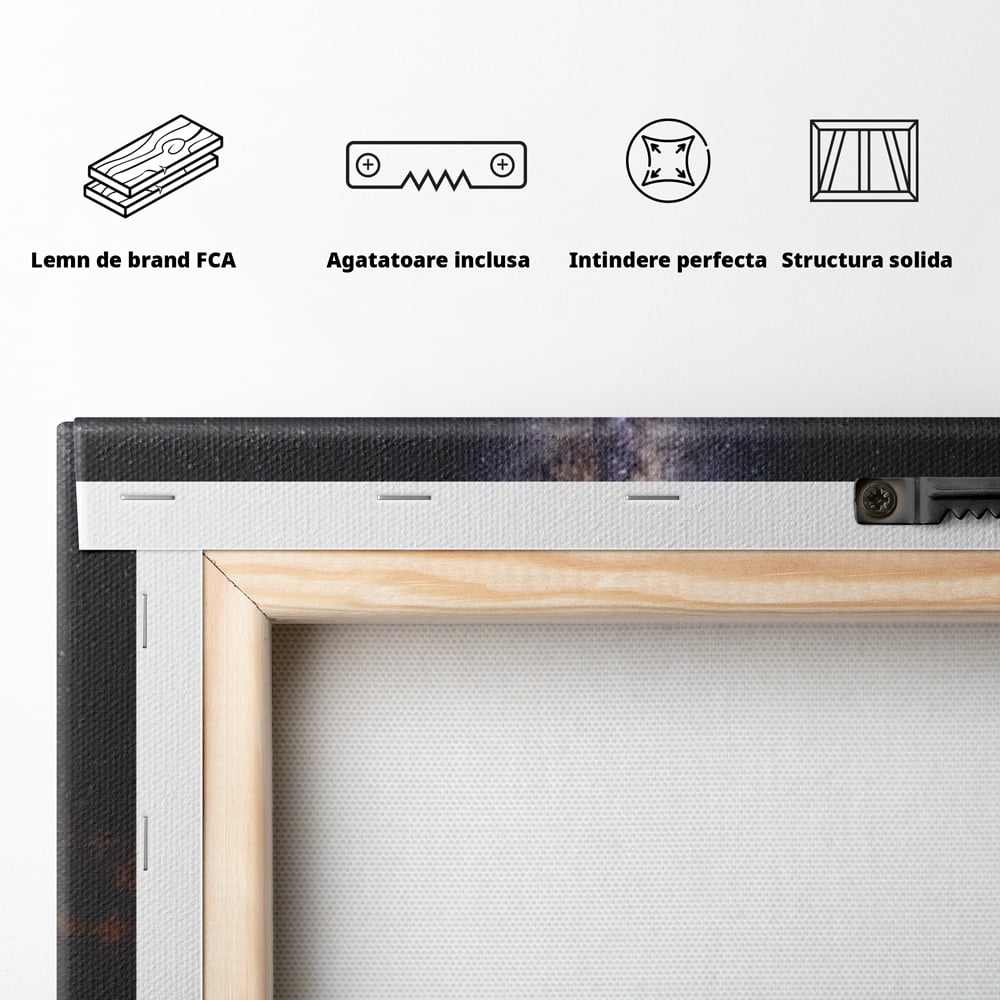 Tablou Canvas Premium, LuxCanva® M1468, Glasul Universului, Cosmos, Luna, Lup, Stele, Noapte, Vis, Mistic, Destin, Eternitate, Carare, Birou, Living, Camera Copil