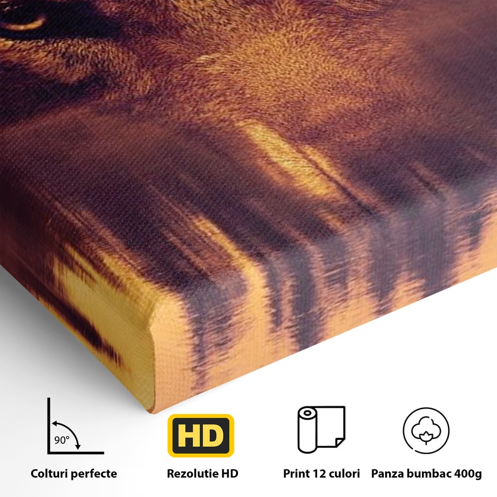 Tablou Canvas Premium, LuxCanva® M1470, Spiritul Padurii, Ochi, Privire, Gardian, Padure, Lac, Apus, Reflexie, Codru, Mister, Natura, Birou, Living, Camera Copil