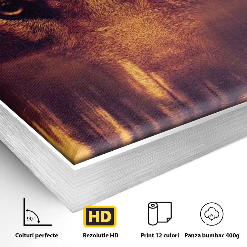 Tablou Canvas Premium, LuxCanva® M1470, Spiritul Padurii, Ochi, Privire, Gardian, Padure, Lac, Apus, Reflexie, Codru, Mister, Natura, Birou, Living, Camera Copil