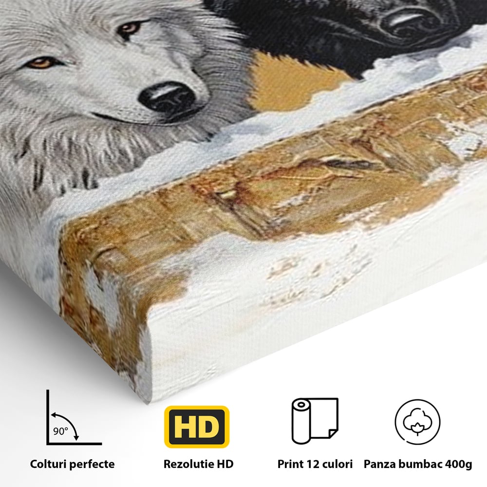 Leinwand Premium Canvas Wandbilder, LuxCanva® M1472, Treffen der Extreme, Wölfe, Paar, Gold, Kontrast, Verbindung, Harmonie, Rahmen, Schwarz-Weiß, Balance, Büro, Wohnen, Kinderzimmer