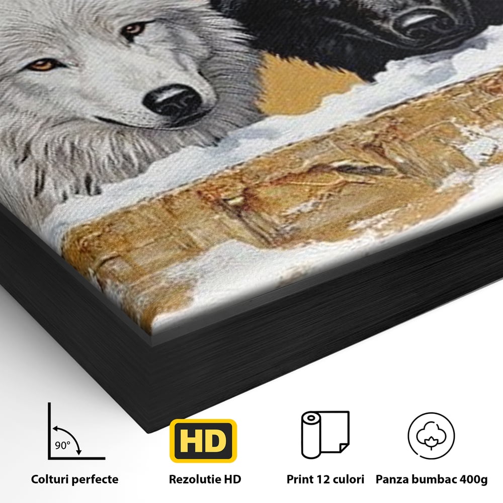 Leinwand Premium Canvas Wandbilder, LuxCanva® M1472, Treffen der Extreme, Wölfe, Paar, Gold, Kontrast, Verbindung, Harmonie, Rahmen, Schwarz-Weiß, Balance, Büro, Wohnen, Kinderzimmer