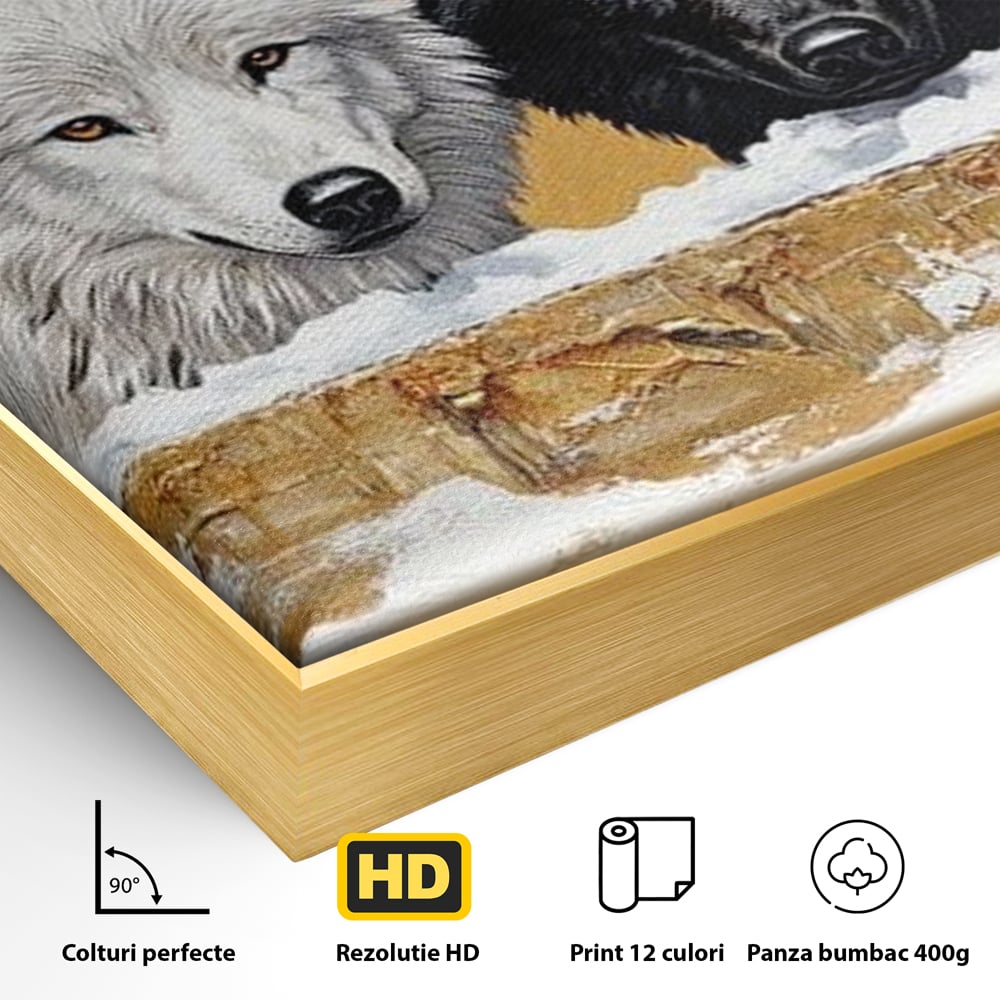 Leinwand Premium Canvas Wandbilder, LuxCanva® M1472, Treffen der Extreme, Wölfe, Paar, Gold, Kontrast, Verbindung, Harmonie, Rahmen, Schwarz-Weiß, Balance, Büro, Wohnen, Kinderzimmer