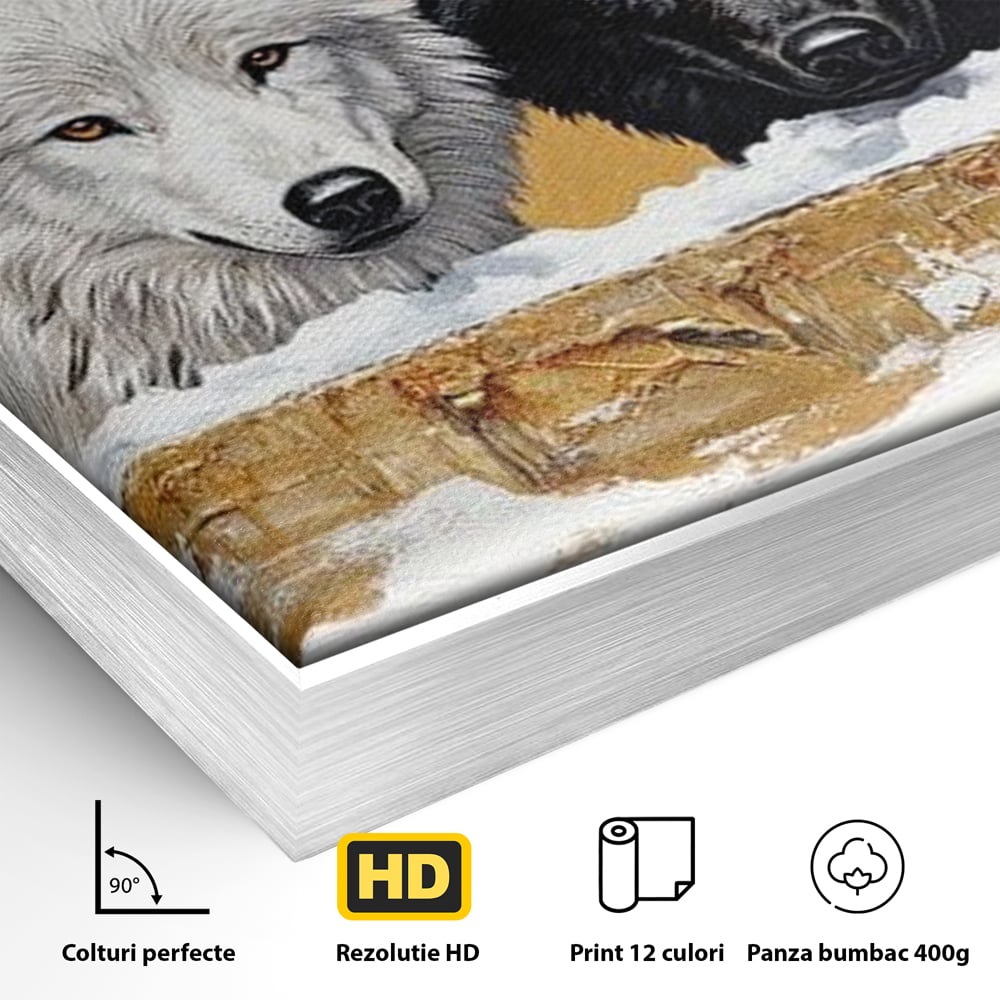 Leinwand Premium Canvas Wandbilder, LuxCanva® M1472, Treffen der Extreme, Wölfe, Paar, Gold, Kontrast, Verbindung, Harmonie, Rahmen, Schwarz-Weiß, Balance, Büro, Wohnen, Kinderzimmer