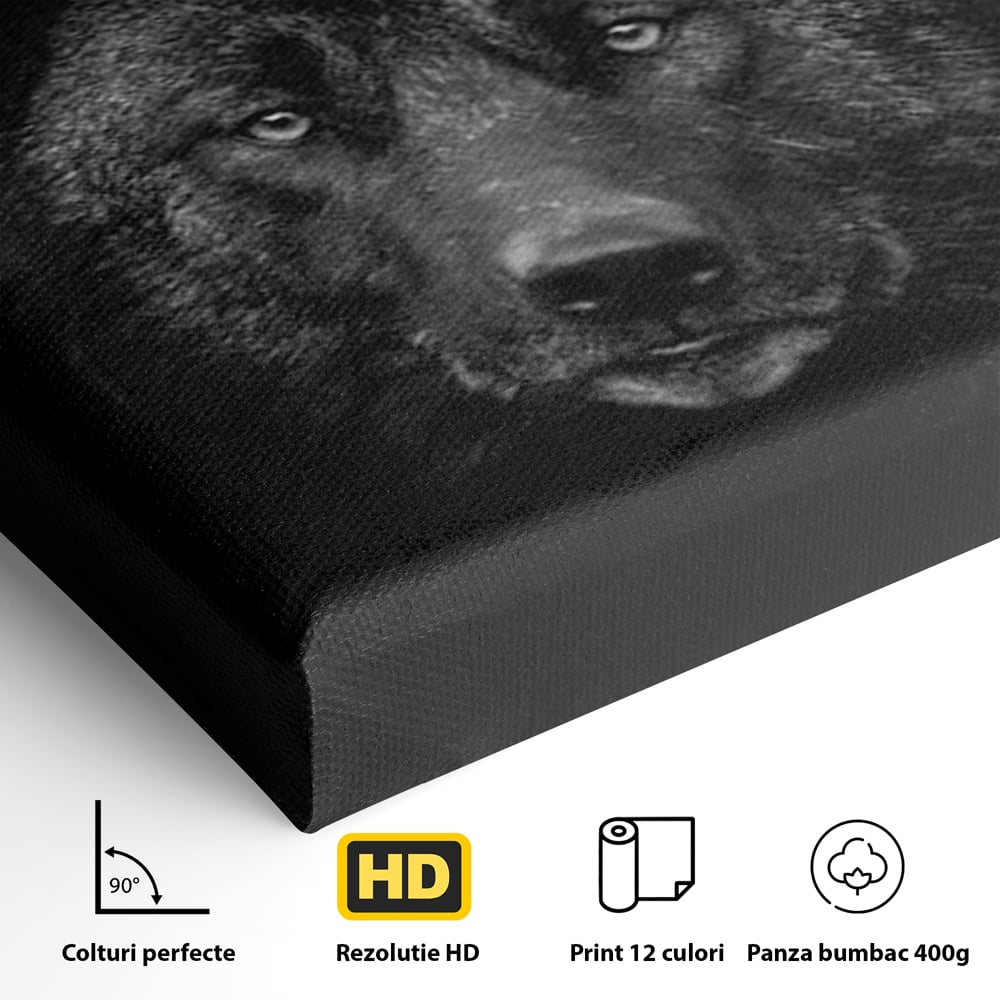 Tablou Canvas Premium, LuxCanva® M1475, Ascuns in Noapte, Lup, Portret, Umbra, Alb si Negru, Abis, Intuneric, Instinct, Vigilent, Vanator, Birou, Living, Camera Copil