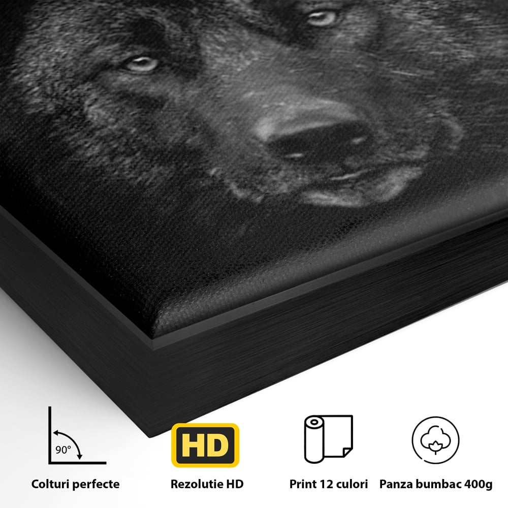 Tablou Canvas Premium, LuxCanva® M1475, Ascuns in Noapte, Lup, Portret, Umbra, Alb si Negru, Abis, Intuneric, Instinct, Vigilent, Vanator, Birou, Living, Camera Copil