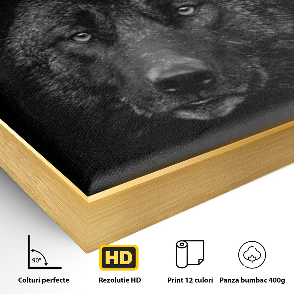 Tablou Canvas Premium, LuxCanva® M1475, Ascuns in Noapte, Lup, Portret, Umbra, Alb si Negru, Abis, Intuneric, Instinct, Vigilent, Vanator, Birou, Living, Camera Copil