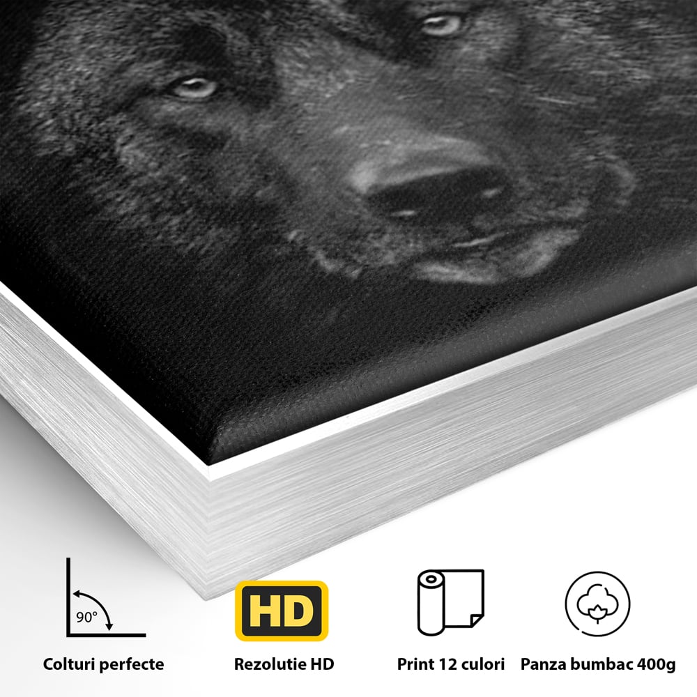 Tablou Canvas Premium, LuxCanva® M1475, Ascuns in Noapte, Lup, Portret, Umbra, Alb si Negru, Abis, Intuneric, Instinct, Vigilent, Vanator, Birou, Living, Camera Copil