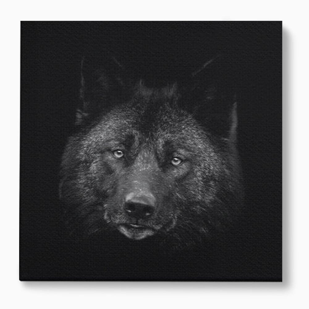 Tablou Canvas Premium, LuxCanva® M1475, Ascuns in Noapte, Lup, Portret, Umbra, Alb si Negru, Abis, Intuneric, Instinct, Vigilent, Vanator, Birou, Living, Camera Copil