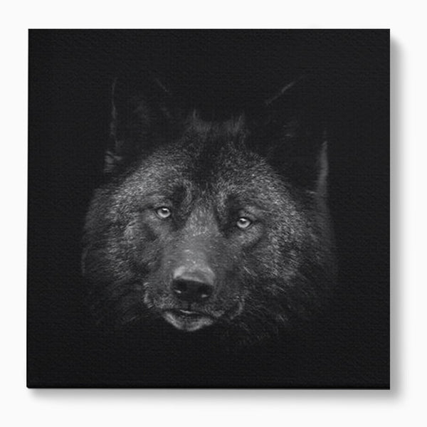 Tablou Canvas Premium, LuxCanva® M1475, Ascuns in Noapte, Lup, Portret, Umbra, Alb si Negru, Abis, Intuneric, Instinct, Vigilent, Vanator, Birou, Living, Camera Copil