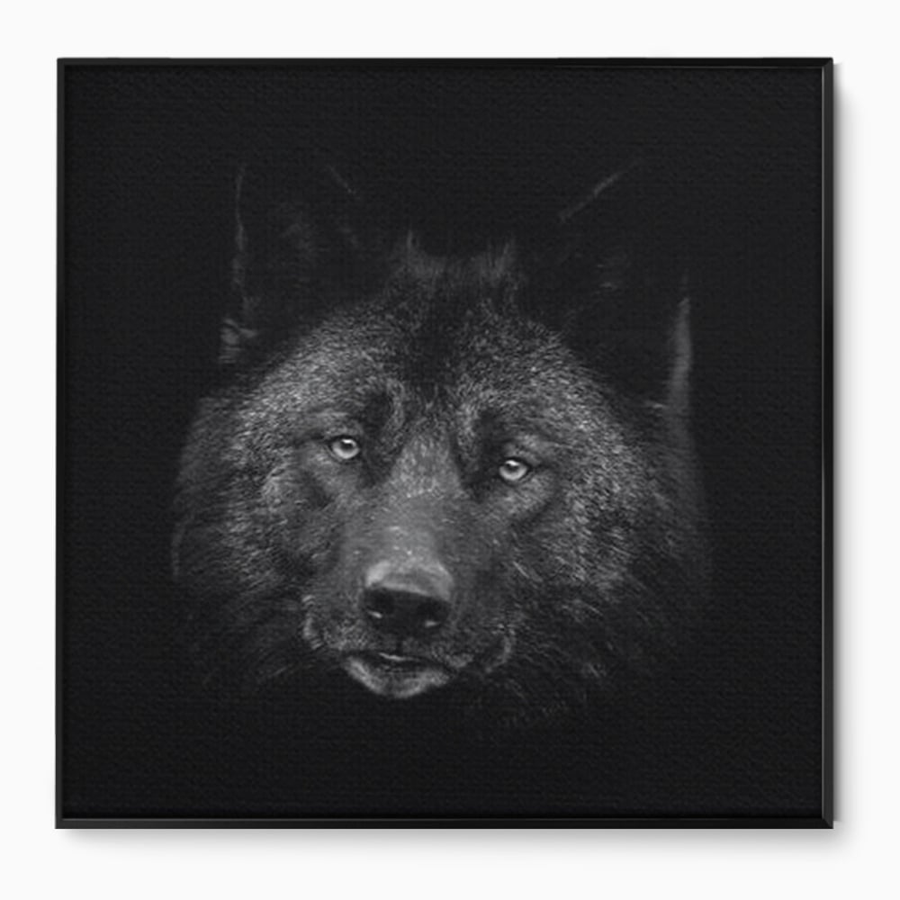 Tablou Canvas Premium, LuxCanva® M1475, Ascuns in Noapte, Lup, Portret, Umbra, Alb si Negru, Abis, Intuneric, Instinct, Vigilent, Vanator, Birou, Living, Camera Copil