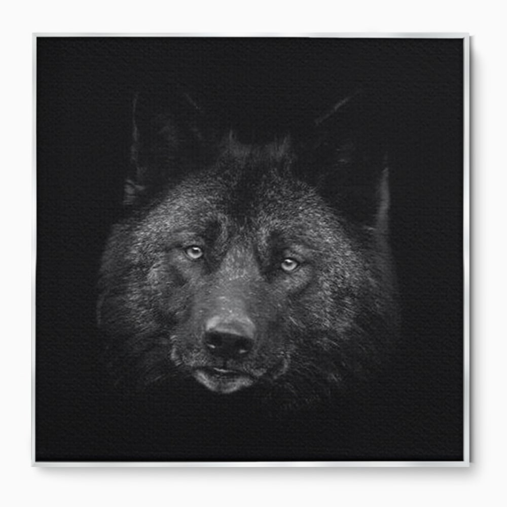 Tablou Canvas Premium, LuxCanva® M1475, Ascuns in Noapte, Lup, Portret, Umbra, Alb si Negru, Abis, Intuneric, Instinct, Vigilent, Vanator, Birou, Living, Camera Copil