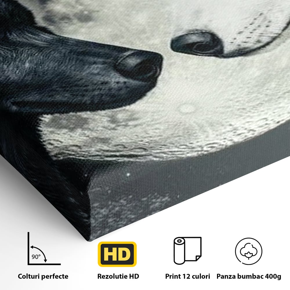 Tablou Canvas Premium, LuxCanva® M1476, Uniune sub Luna, Luna Plina, Stele, Noapte, Lupi, Pereche, Legatura, Impreuna, Destin, Contrast, Dualitate, Birou, Living, Camera Copil