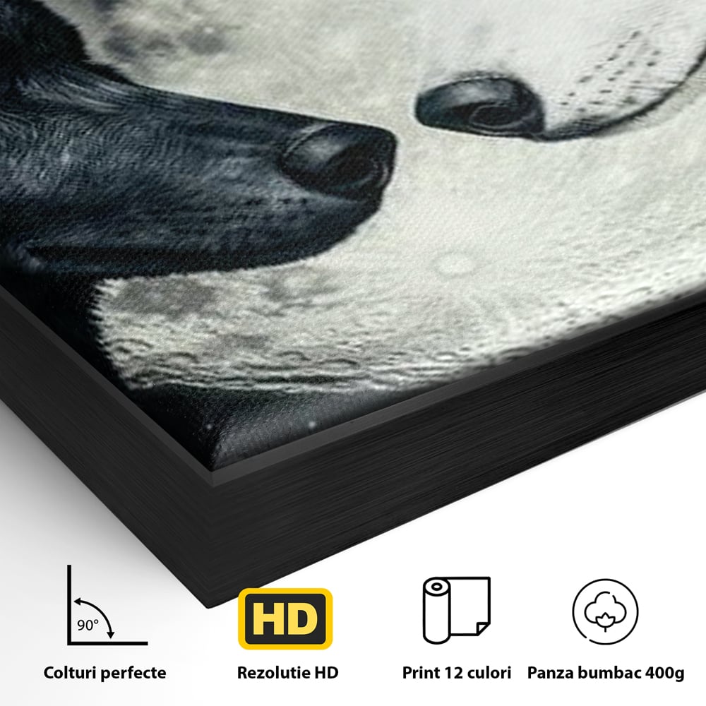 Tablou Canvas Premium, LuxCanva® M1476, Uniune sub Luna, Luna Plina, Stele, Noapte, Lupi, Pereche, Legatura, Impreuna, Destin, Contrast, Dualitate, Birou, Living, Camera Copil