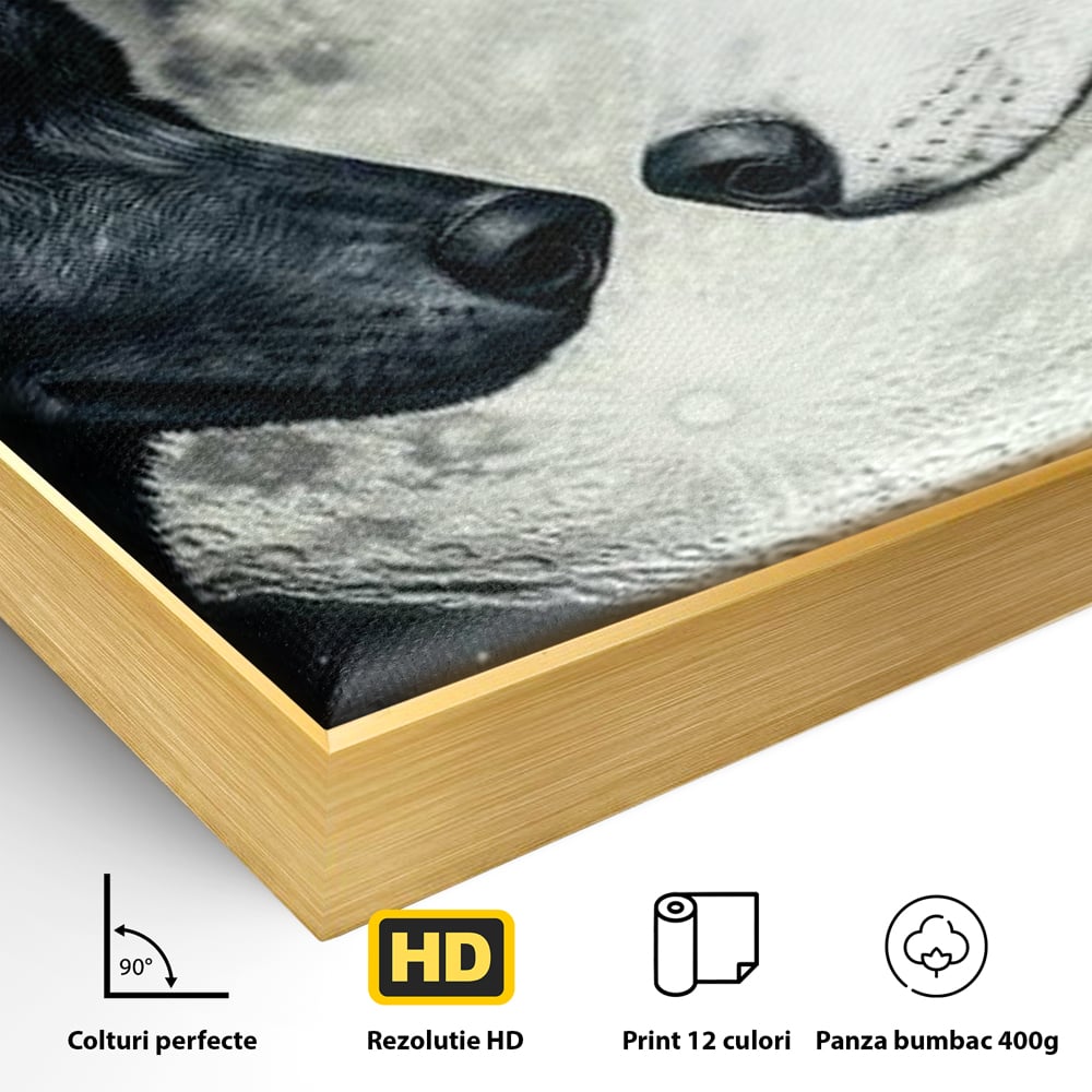 Tablou Canvas Premium, LuxCanva® M1476, Uniune sub Luna, Luna Plina, Stele, Noapte, Lupi, Pereche, Legatura, Impreuna, Destin, Contrast, Dualitate, Birou, Living, Camera Copil