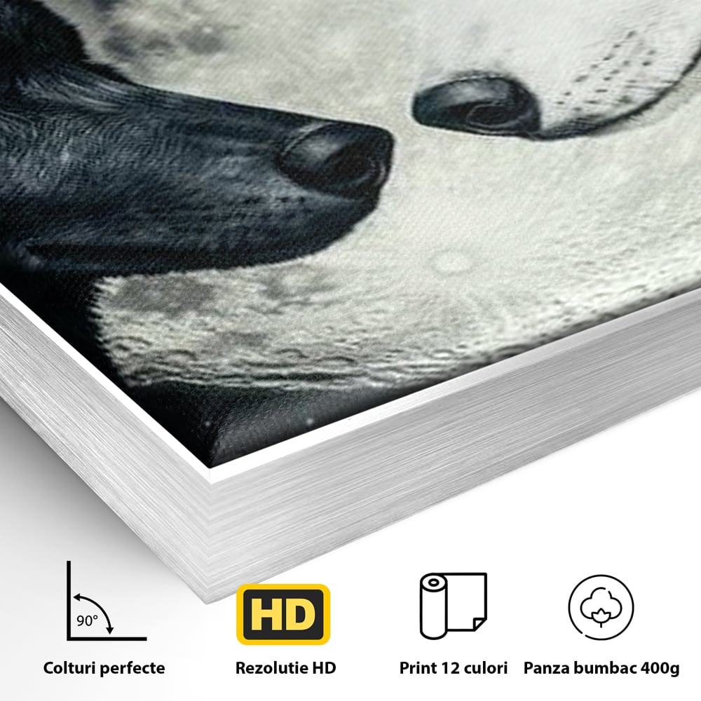 Tablou Canvas Premium, LuxCanva® M1476, Uniune sub Luna, Luna Plina, Stele, Noapte, Lupi, Pereche, Legatura, Impreuna, Destin, Contrast, Dualitate, Birou, Living, Camera Copil