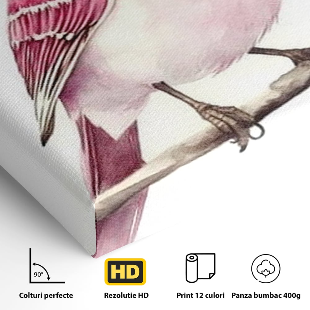 Tablou Canvas Premium, LuxCanva® M1479, Zborul Sperantei, Pasare, Roz, Delicat, Pastelat, Gingasie, Primavara, Dormitor, Birou, Living, Camera Copil