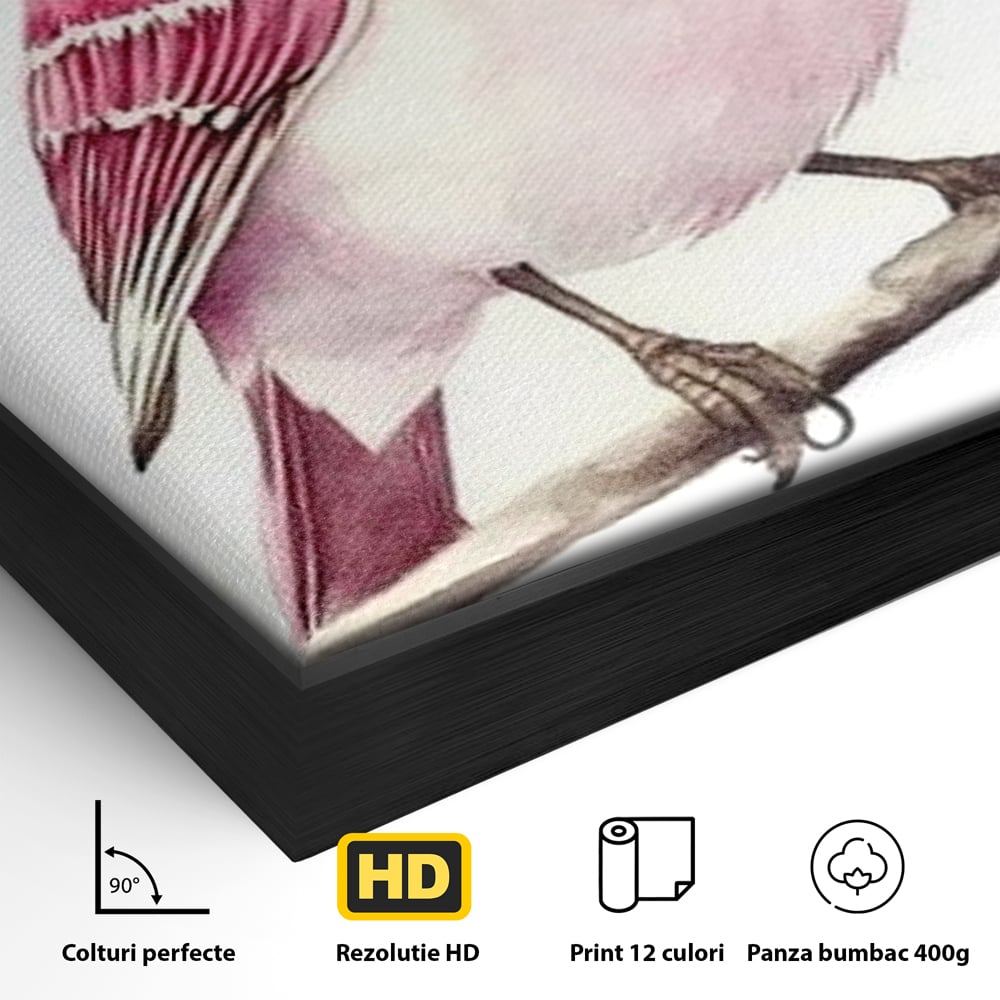 Tablou Canvas Premium, LuxCanva® M1479, Zborul Sperantei, Pasare, Roz, Delicat, Pastelat, Gingasie, Primavara, Dormitor, Birou, Living, Camera Copil