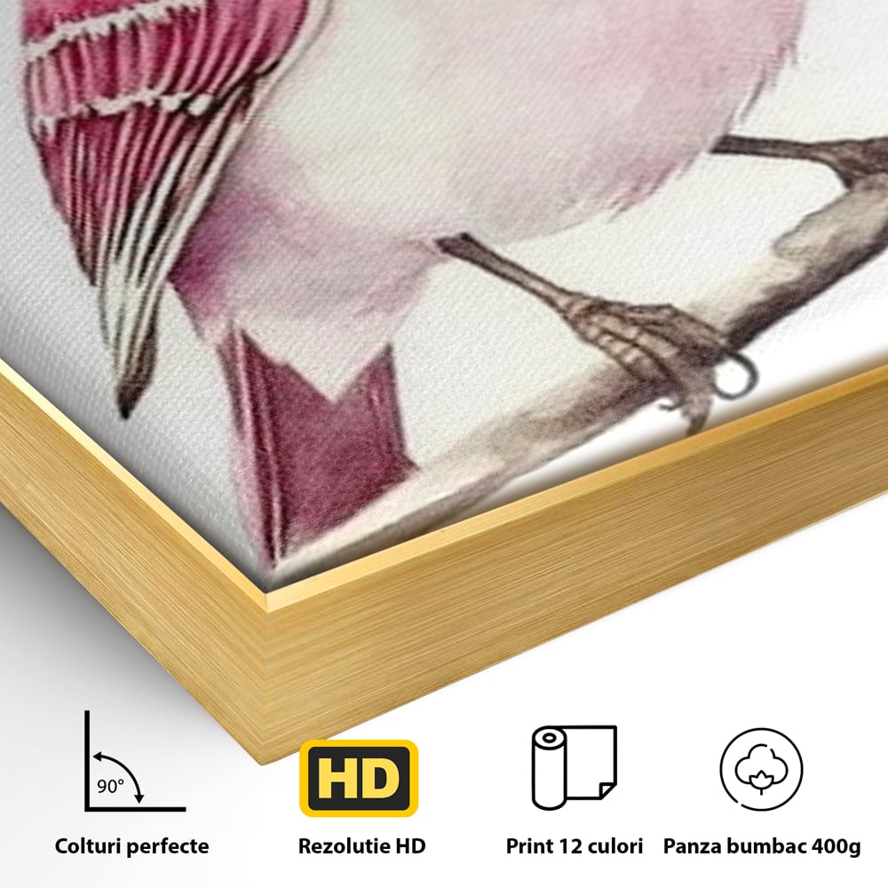 Tablou Canvas Premium, LuxCanva® M1479, Zborul Sperantei, Pasare, Roz, Delicat, Pastelat, Gingasie, Primavara, Dormitor, Birou, Living, Camera Copil