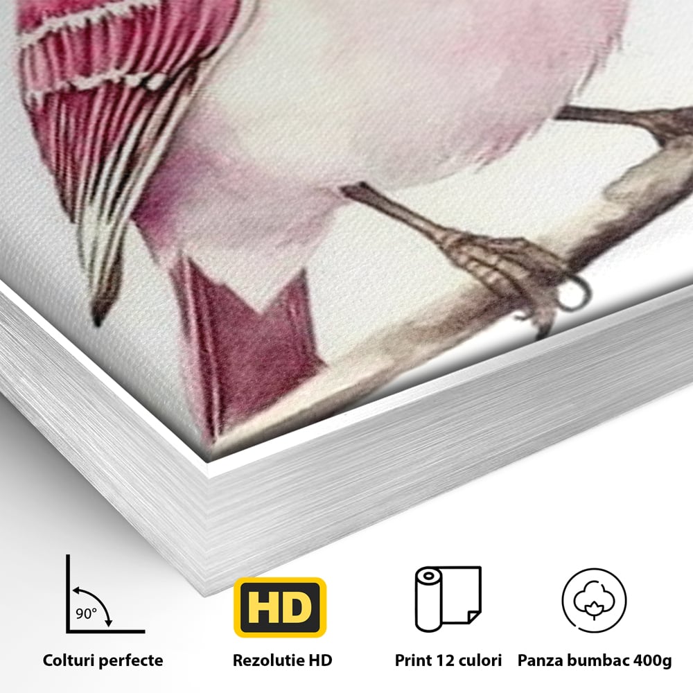 Tablou Canvas Premium, LuxCanva® M1479, Zborul Sperantei, Pasare, Roz, Delicat, Pastelat, Gingasie, Primavara, Dormitor, Birou, Living, Camera Copil