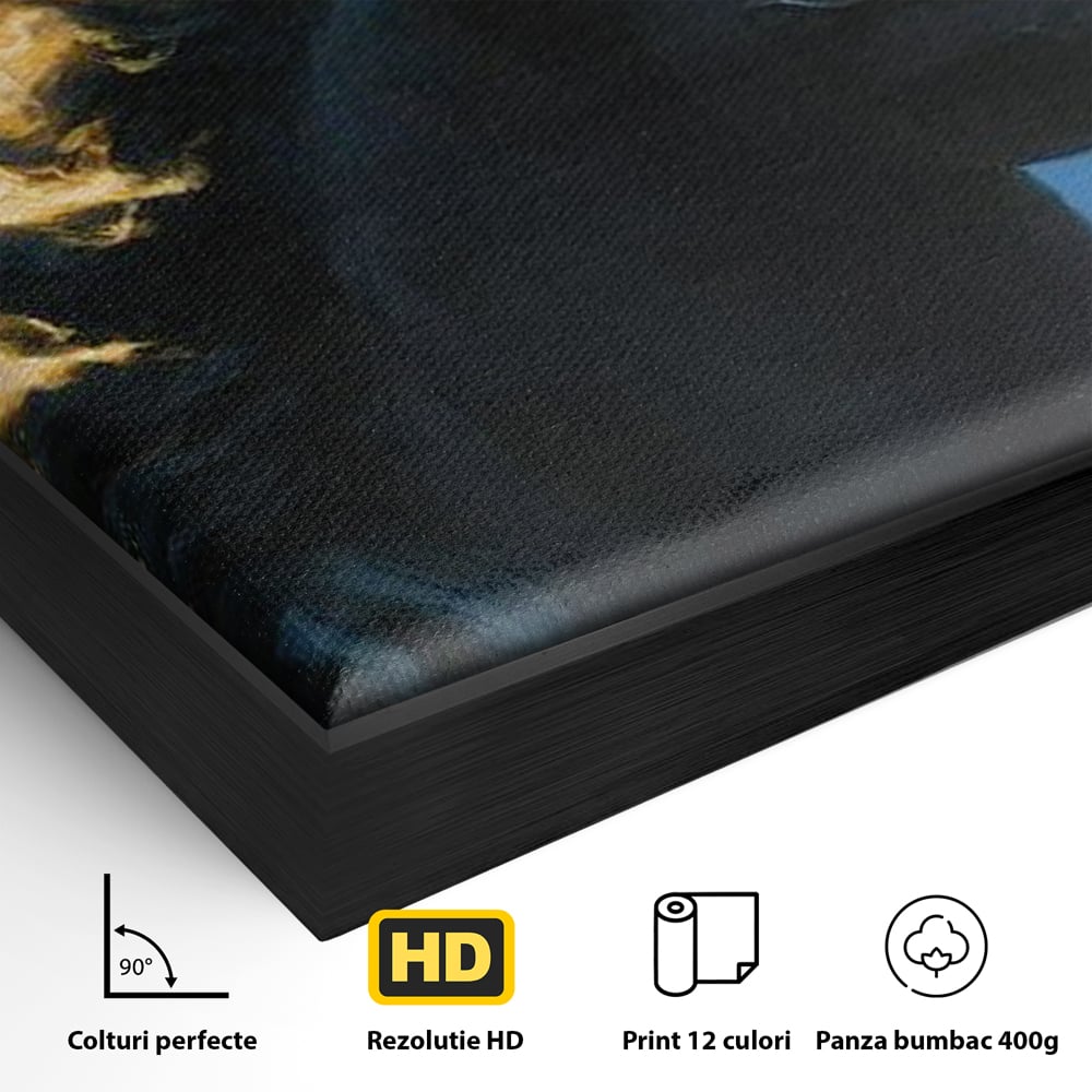 Tablou Canvas Premium, LuxCanva® M1485, Cursa fara Sfarsit, Cal, Armasar, Galop, Flacari, Foc, Mistic, Legenda, Umbra, Dormitor, Birou, Living, Camera Copil