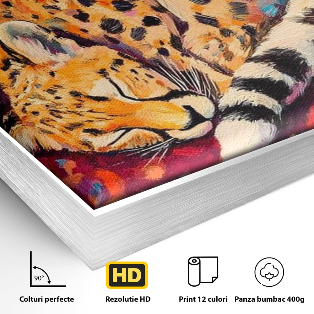 Tablou Canvas Premium, LuxCanva® M1492, Imbratisat de Culoare, Ghepard, Somn, Vis, Liniste, Relaxare, Boem, Felina, Dormitor, Birou, Living, Camera Copil