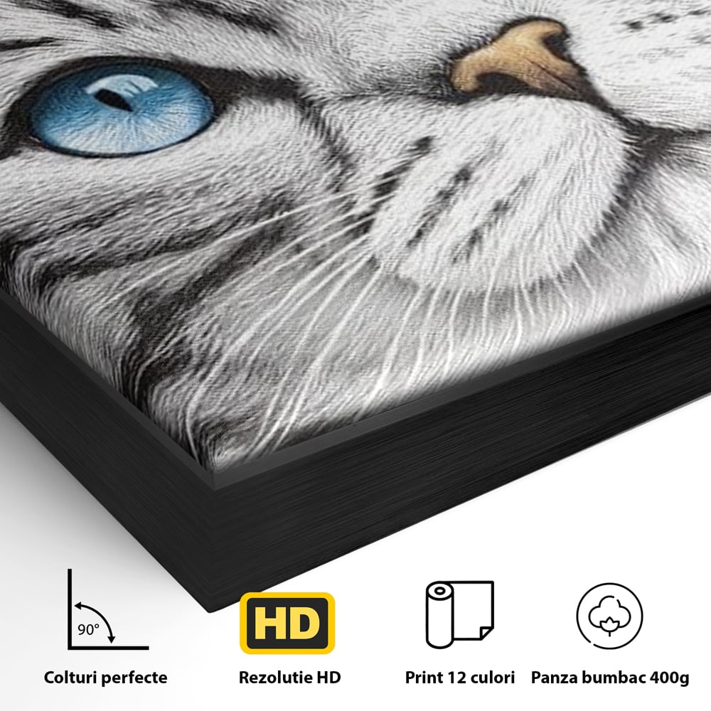 Tablou Canvas Premium, LuxCanva® M1493, Sub Cerul Parisului, Pisica, Felina, Ochi Albastri, Paris, Turnul Eiffel, Auriu, Elegant, Dormitor, Birou, Living, Camera Copil