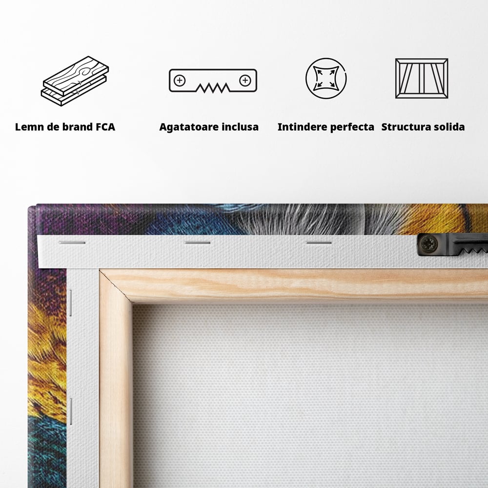 Leinwand Wandkunst Canvas Wall Art Premium, LuxCanva® M1511, Nachtflügel, Eule, Vogel, Vogelfeder, golden, nachtaktiv, geheimnisvoll, leuchtende Farben, Schlafzimmer, Büro, Wohnzimmer, Kinderzimmer