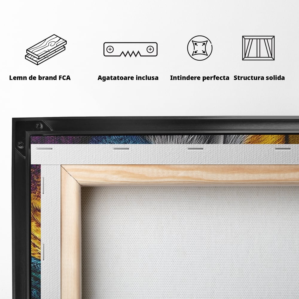 Leinwand Wandkunst Canvas Wall Art Premium, LuxCanva® M1511, Nachtflügel, Eule, Vogel, Vogelfeder, golden, nachtaktiv, geheimnisvoll, leuchtende Farben, Schlafzimmer, Büro, Wohnzimmer, Kinderzimmer