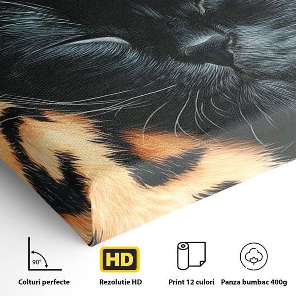 Tablou Canvas Premium, LuxCanva® M1518, Mustati Odihnite, Pisica, Felina, Animal Print, Dragalas, Somn, Vis, Relaxare, Confort, Dormitor, Birou, Living, Camera Copil