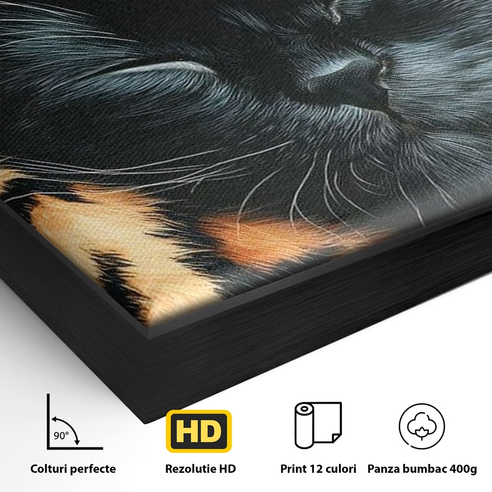 Tablou Canvas Premium, LuxCanva® M1518, Mustati Odihnite, Pisica, Felina, Animal Print, Dragalas, Somn, Vis, Relaxare, Confort, Dormitor, Birou, Living, Camera Copil
