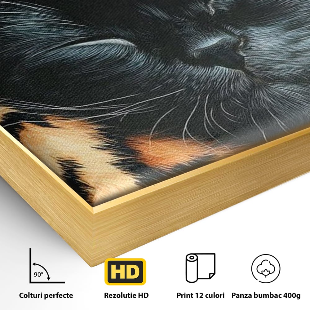 Tablou Canvas Premium, LuxCanva® M1518, Mustati Odihnite, Pisica, Felina, Animal Print, Dragalas, Somn, Vis, Relaxare, Confort, Dormitor, Birou, Living, Camera Copil
